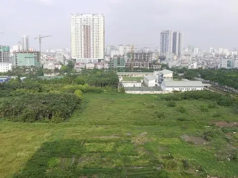 Đất không sử dụng bao nhiêu năm thì bị mất quyền sử dụng?