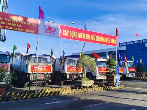 Đồng bằng sông Cửu Long: Khởi công xây dựng nhiều cảng, nhà máy điện khí