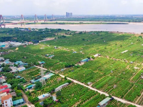 Hà Nội đề xuất được xây dựng công trình trên đất nông nghiệp