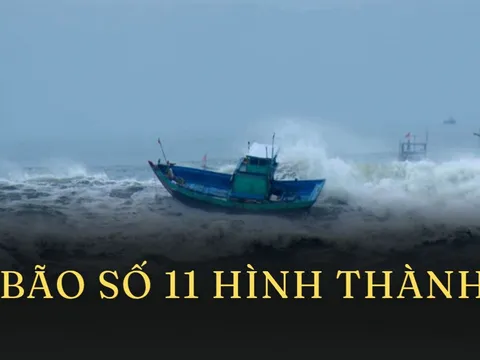Tin 'nóng' về cơn bão số 11 (MATMO)