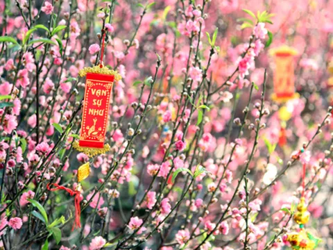 Hà Nội thông báo lịch nghỉ Tết Âm lịch, lễ Quốc khánh năm 2026