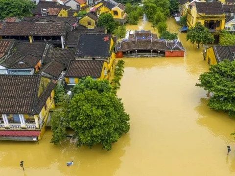 Mưa lũ miền Trung: Những con số đau lòng