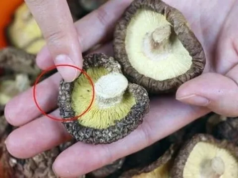 Chuyên gia Mỹ cảnh báo 3 loại thực phẩm làm tăng nguy cơ ung thư, bỏ ngay đừng tiếc