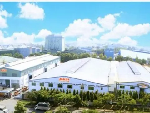 Công ty Tân Quang Minh và 4 doanh nghiệp vi phạm môi trường