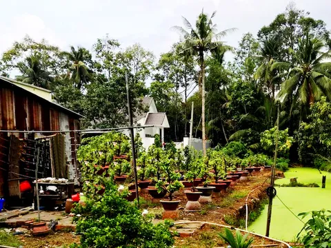 TP Cần Thơ: Cần làm rõ uẩn khúc trong vụ 1 mảnh đất bán cho 4 người