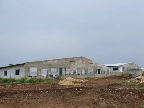 Thái Hòa-Nghệ An: Trang trại lợn 'khủng' xây trái phép có dấu hiệu giả mạo giấy tờ