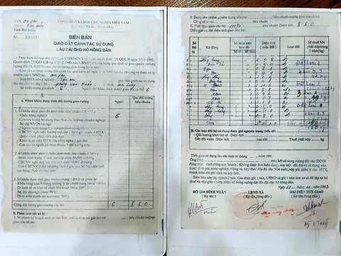 Kinh Môn, Hải Dương: Chuyện về người nông dân mất đất sau khi 'dồn điền đổi thửa'