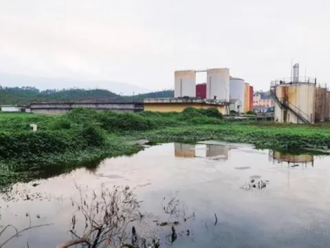 Môi trường bị đe dọa vì sự cố tràn dầu tại Nhà máy cồn Ethanol