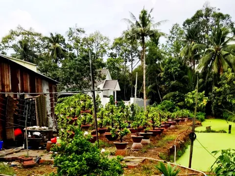 Cần Thơ: Tiếp bài 'Cần làm rõ uẩn khúc trong vụ 1 mảnh đất bán cho 4 người'