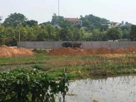 Việt Trì - Phú Thọ: Chính quyền bất lực để dân ngang nhiên san lấp ruộng?