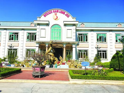 Thái Bình - Nước sinh hoạt kém chất lượng biết kêu ai?
