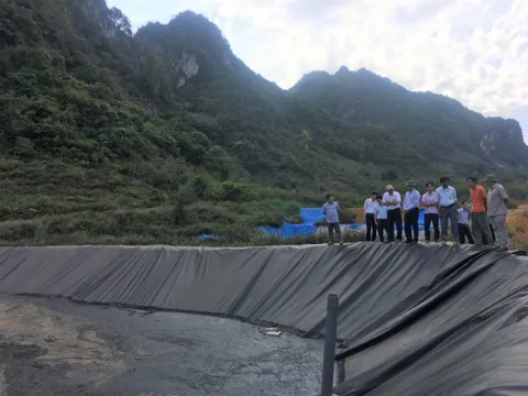 Sơn La: Cần xử lý dứt điểm ô nhiễm môi trường do sơ chế cà phê
