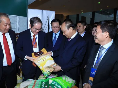Hapro tập trung nguồn lực cho xuất khẩu và thương mại dịch vụ sau cổ phần hóa
