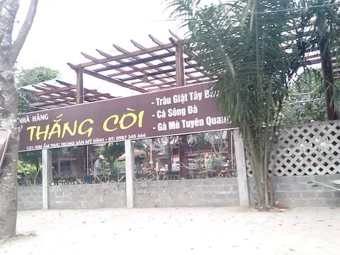 Đa Tốn, Gia Lâm, Hà Nội: Chính quyền xã buông lỏng quản lý công điền để dự án 'biến tướng'?