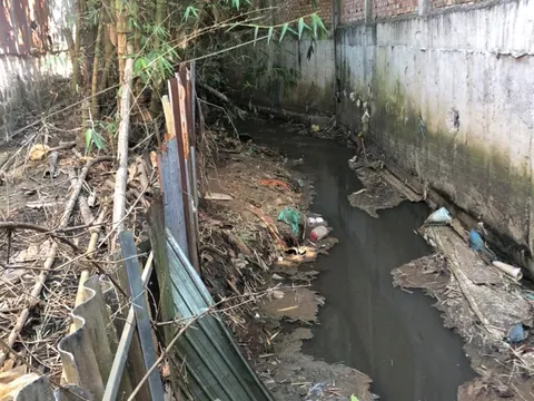 TP. Pleiku: Cơ sở chăn nuôi heo 'tra tấn' khu dân cư