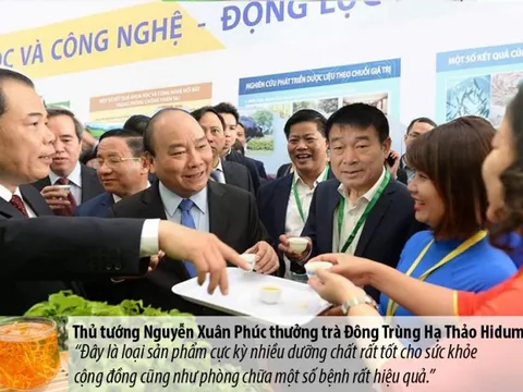 Nghệ An: Tảo xoắn Spirulina bảo vệ sức khỏe vàng trong mùa dịch bệnh