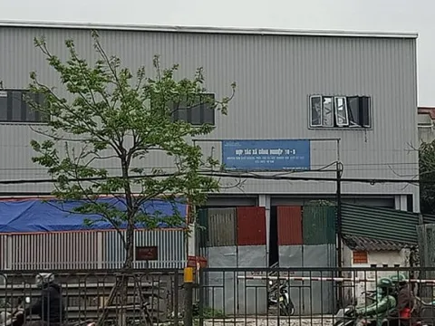 Văn Điển, Thanh Trì: Cần làm rõ việc nhà xưởng xây dựng không phép