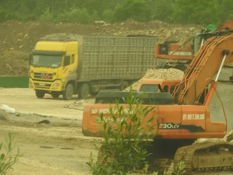 Nghệ An: Chế biến gỗ dăm 'chui' hàng trăm tấn mỗi ngày