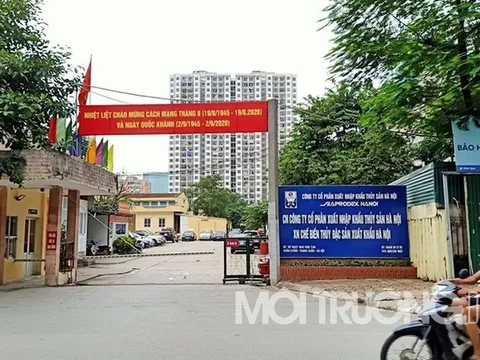 Seaprodex 'xẻ thịt' đất vàng trái phép - Quả bóng trách nhiệm !