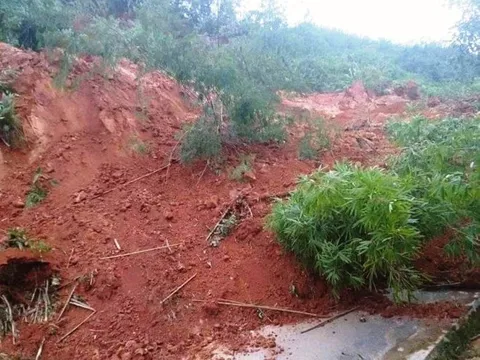 Quảng Nam: Sạt lở kinh hoàng, người đi đường bỏ lại xe để chạy thoát thân
