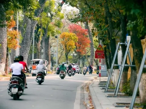 Bắc Bộ sáng sớm có sương mù nhẹ, trưa chiều trời nắng