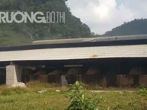 Sơn La: Công ty TNHH năng lượng Mộc Châu Xanh 'đầu độc' người dân