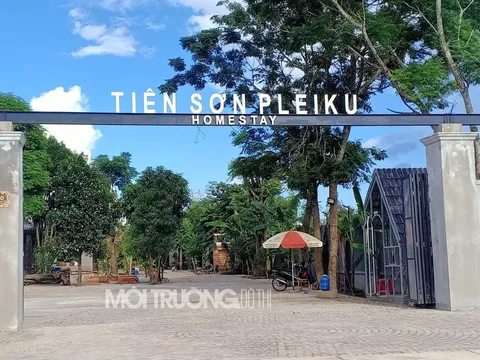 Vụ Homestay Tiên Sơn xây dựng sai phép: Kiểm tra và xử lý vi phạm
