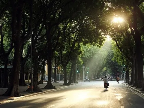 Dự báo thời tiết ngày 22/2: Miền Bắc sáng và đêm trời rét, sương mù