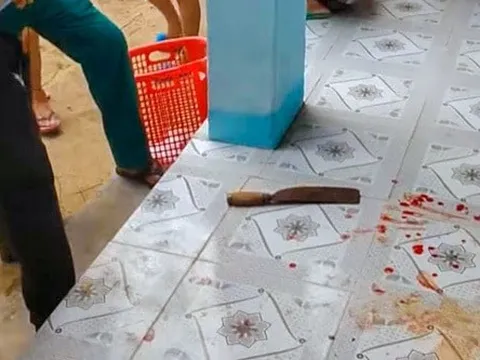 Nữ giáo viên bất ngờ dùng dao tấn công đồng nghiệp trong trường học