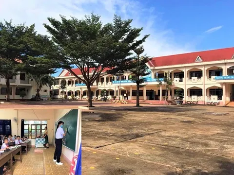 Học hết lớp 8 rồi 'thay tên đổi họ', mượn bằng cấp 3 để học lên làm giáo viên