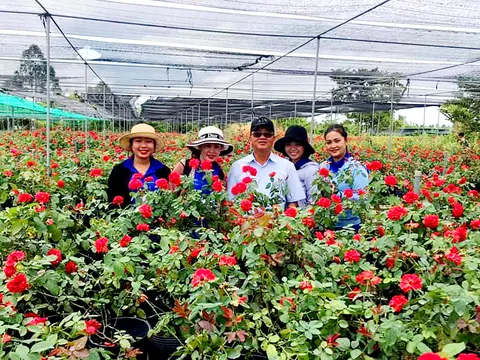 Đồng Tháp: Sắp diễn ra Tuần lễ Văn hóa Du lịch Đồng Tháp năm 2021