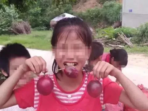Bé gái bị kẻ biến thái sát hại dã man khi đang đi bán trái cây, gần 840 ngày sau mới được hỏa táng vì chờ hung thủ trả giá