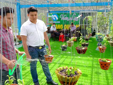 Choáng ngợp trước vườn lan đột biến 80 tỷ đồng, khiến người TP. Cần Thơ phải trầm trồ