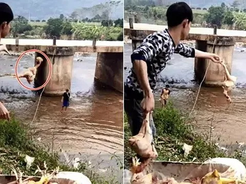 Chàng trai quăng hàng chục con gà xuống suối khiến dân mạng nhao lên tiếc rẻ, hóa ra đó lại là 'hậu trường' làm cỗ cưới khó tin