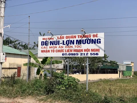 Thái Bình: Chủ tịch xã Đông La báo cáo thiếu trung thực?