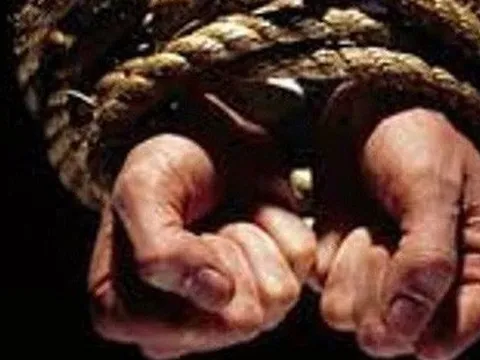 Nhóm giang hồ vờ là dân buôn đến vườn dừa bắt cóc người nông dân tống tiền 4 tỷ đồng