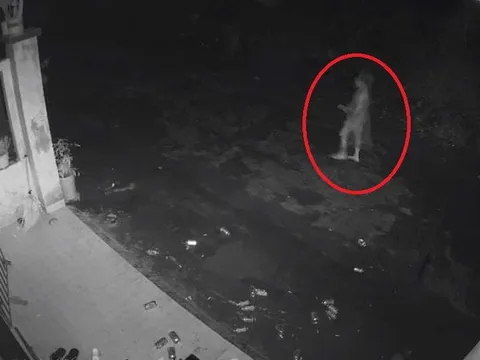 Truy tìm tài xế nghi tông chết người phụ nữ giữa đêm khuya rồi bỏ trốn