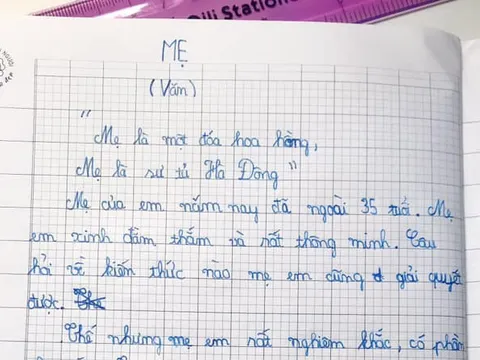 Cậu bé lớp 4 viết văn: 'Mẹ như sư tử. Sau này, em thà FA còn hơn lấy một người vợ nghiêm khắc như mẹ'