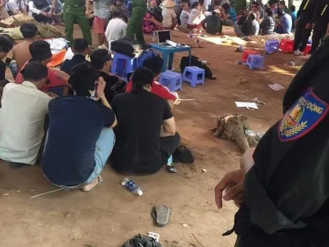 Cảnh sát nổ súng triệt phá trường gà quy mô 'khủng' ở Tiền Giang