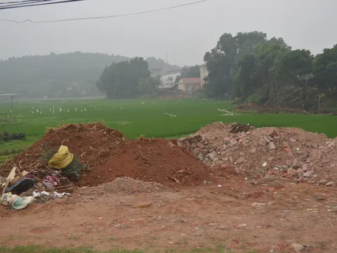 Xã Phù Ninh - Phú Thọ: San lấp đất nông nghiệp trái phép, chính quyền có thờ ơ?