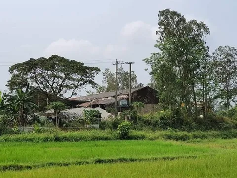 Quảng Nam: Ai 'chống lưng' cho nhà máy bột đá hoạt động chui 12 năm qua?