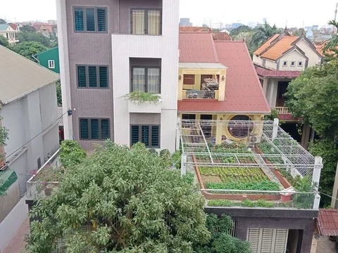 Giám đốc Sở Nội vụ Nghệ An bị tố, Bộ TN&MT yêu cầu giải quyết?