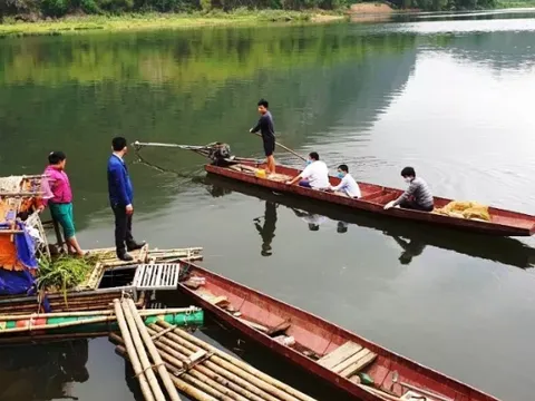 Hỏa tốc đình chỉ nhiều cơ sở sản xuất giấy liên quan đến việc Sông Mã bị đầu độc