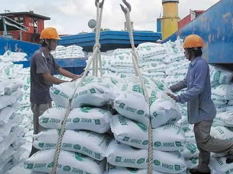 Thủ tướng đồng ý xuất khẩu gạo trở lại nhưng phải đảm bảo an ninh lương thực