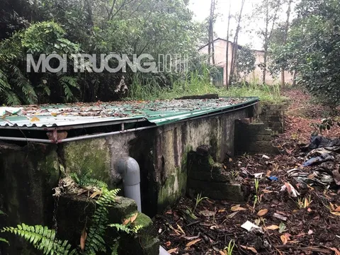 Hà Tĩnh: Trang trại lợn xả thải gây ô nhiễm, xã loay hoay xử lý?