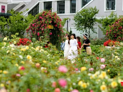 Việt Nam đang ở thời điểm vàng để kích cầu du lịch nội địa