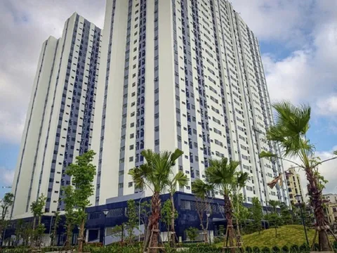Vụ Hải Phòng bán 'đất vàng' giá bèo: Cần làm rõ lợi ích nhóm