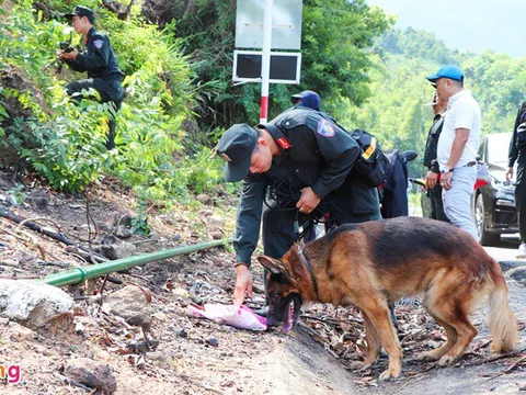 Bác tin chó nghiệp vụ hy sinh khi truy tìm quân nhân trốn trại