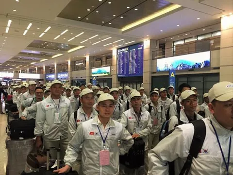 10 quận, huyện bị tạm dừng tuyển lao động đi làm việc tại Hàn Quốc