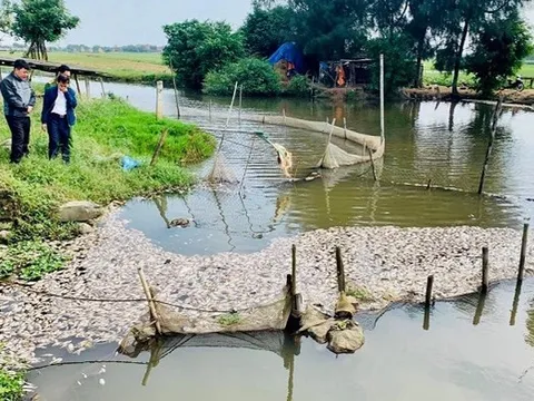 Khu công nghiệp Khánh Phú, Ninh Bình: Còn để xảy ra ô nhiễm môi trường